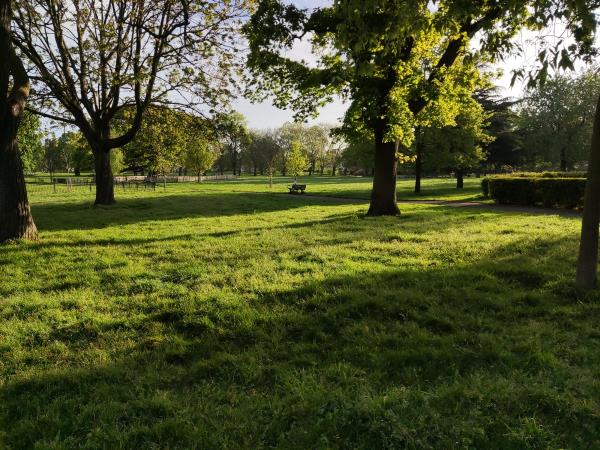 The grass in Bruce Castle Park is in dire need of a cut -Bruce Castle Museum, Bruce Castle Park, Lordship Lane, Tottenham, London, N17 8NS