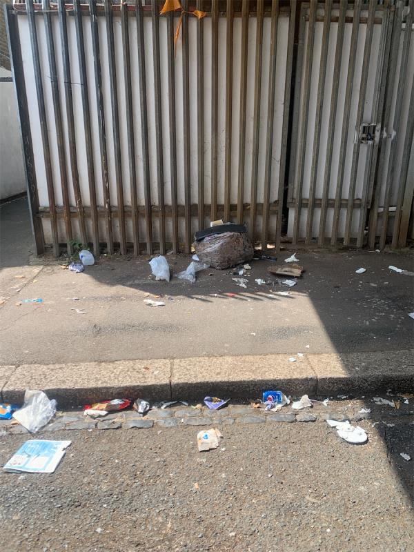 Under rail bridge by school. Trash from split bags etc. also bird mess from pigeons roosting. -12A, Cranmer Road, Forest Gate, London, E7 0JW