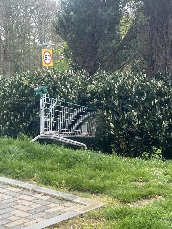 I reported this a week ago. There is an abandoned trolley in the bush -1 Kemmis House, 2 Masterson Close, Wellesley, Aldershot, GU11 4EB