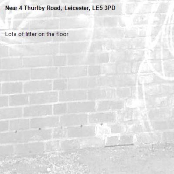 Lots of litter on the floor-4 Thurlby Road, Leicester, LE5 3PD