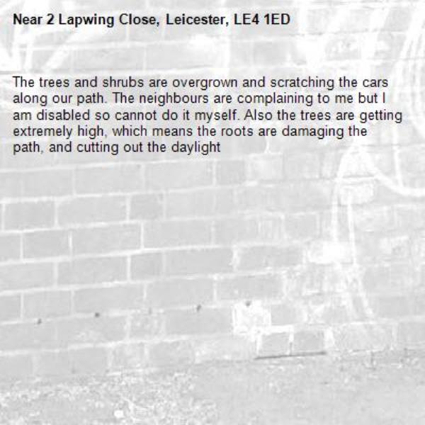 The trees and shrubs are overgrown and scratching the cars along our path. The neighbours are complaining to me but I am disabled so cannot do it myself. Also the trees are getting extremely high, which means the roots are damaging the path, and cutting out the daylight -2 Lapwing Close, Leicester, LE4 1ED