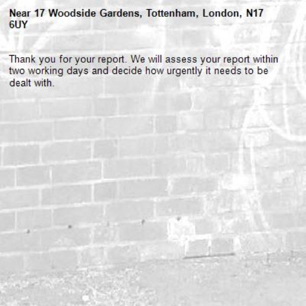 Thank you for your report. We will assess your report within two working days and decide how urgently it needs to be dealt with.-17 Woodside Gardens, Tottenham, London, N17 6UY