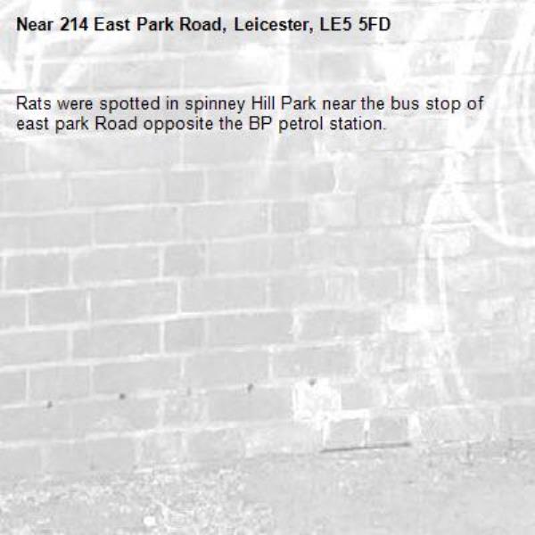 Rats were spotted in spinney Hill Park near the bus stop of east park Road opposite the BP petrol station. -214 East Park Road, Leicester, LE5 5FD