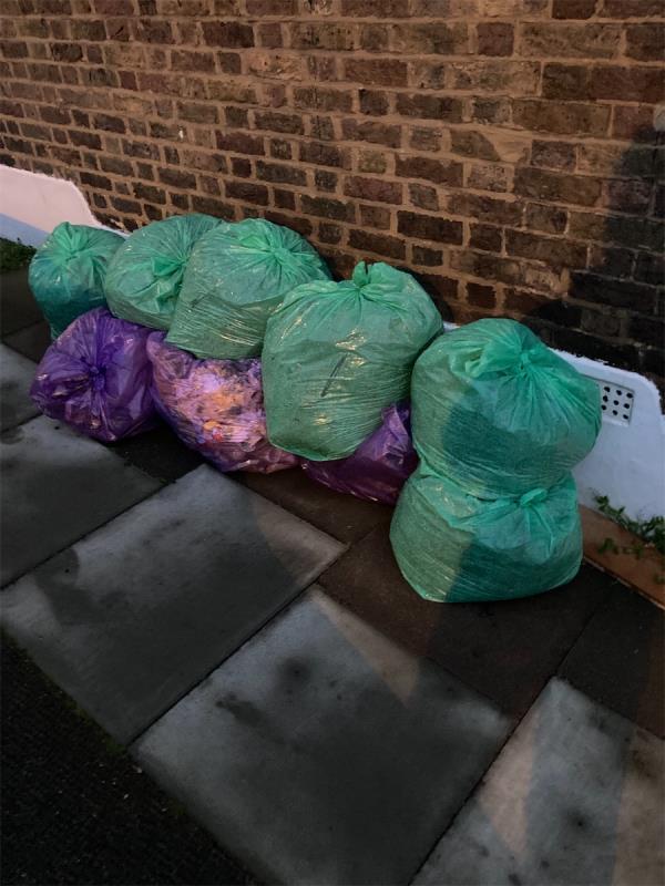 Flytip bags of garden waste top of Bousfield road junction with Kitto rd. pls remove. Thanks -80 Bousfield Road, London, SE14 5TR