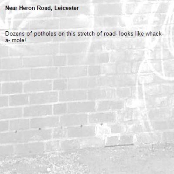 Dozens of potholes on this stretch of road- looks like whack- a- mole!-Heron Road, Leicester