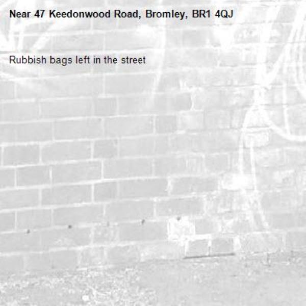 Rubbish bags left in the street  -47 Keedonwood Road, Bromley, BR1 4QJ