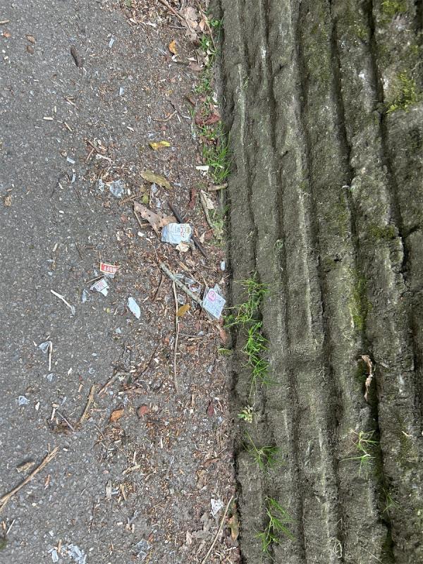 Broken alcohol bottles in Municipal Gardens. Top path near set of steps that backs on to West End Centre car park -Highview Lodge, William Farthing Close, Aldershot, GU11 3LQ