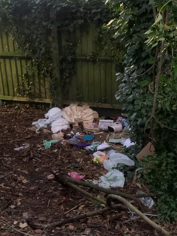 Looks like the cloths banks has been used again - 2 seen taking it out of the bins -Wellington Avenue, Aldershot