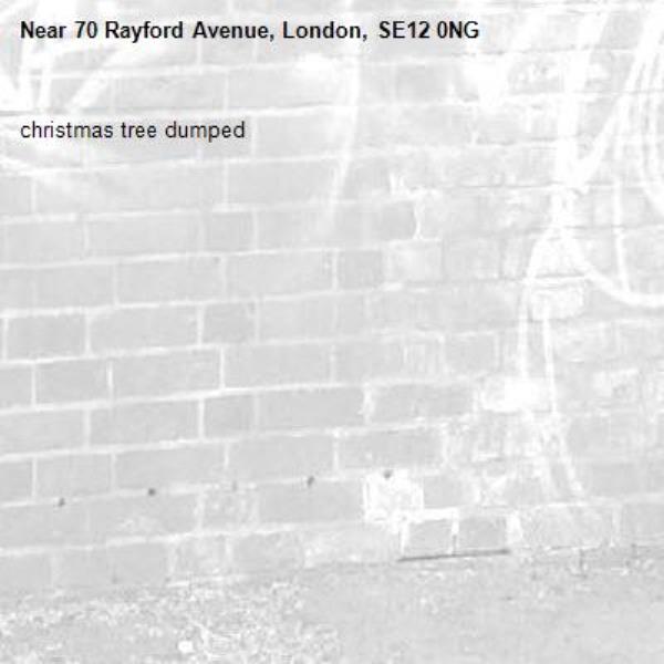 christmas tree dumped -70 Rayford Avenue, London, SE12 0NG