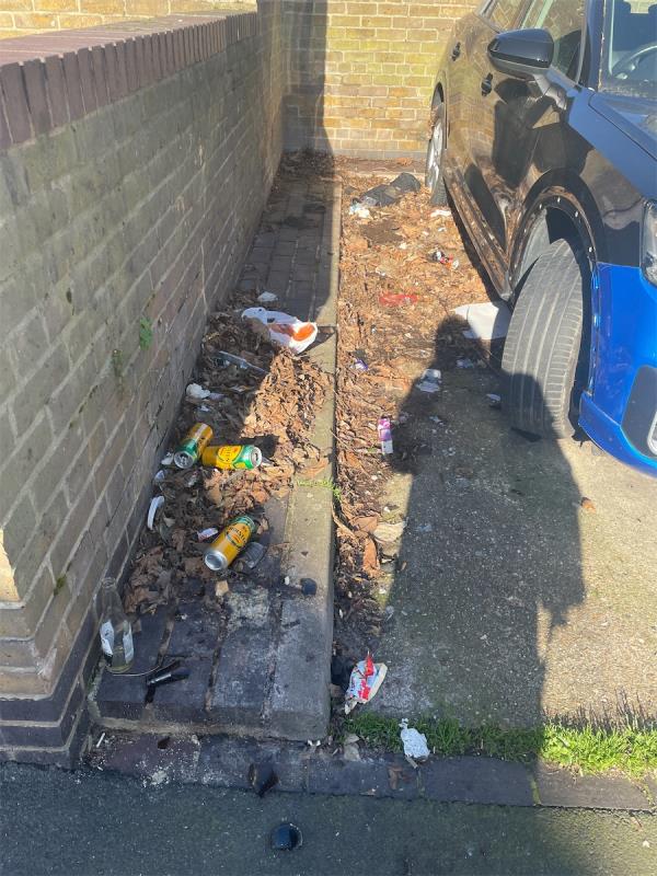 rubbish left beside cars -45 Skeffington Road, East Ham, London, E6 2NA