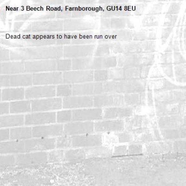 Dead cat appears to have been run over-3 Beech Road, Farnborough, GU14 8EU