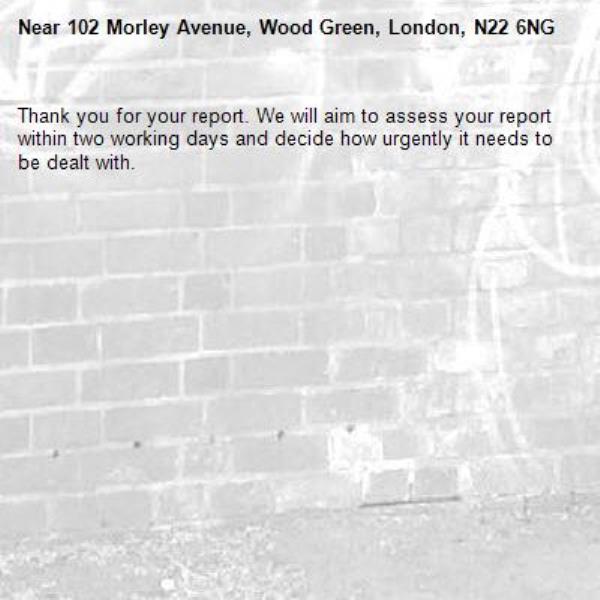 Thank you for your report. We will aim to assess your report within two working days and decide how urgently it needs to be dealt with.-102 Morley Avenue, Wood Green, London, N22 6NG