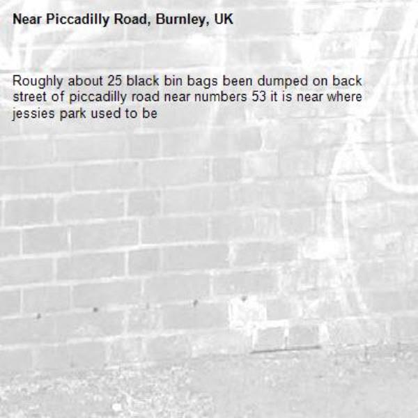 Roughly about 25 black bin bags been dumped on back street of piccadilly road near numbers 53 it is near where jessies park used to be-Piccadilly Road, Burnley, UK