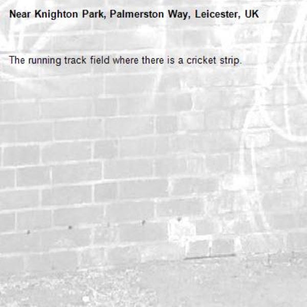 The running track field where there is a cricket strip.-Knighton Park, Palmerston Way, Leicester, UK
