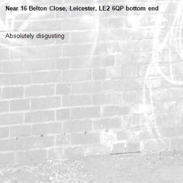Absolutely disgusting -16 Belton Close, Leicester, LE2 6QP bottom end 