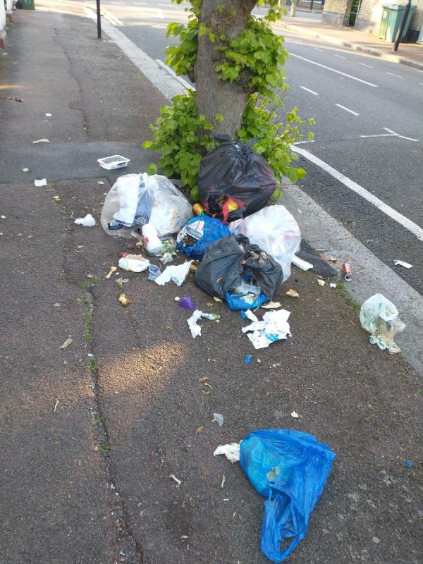 Tennant Business Waste. Enforcement monitor will need permanent cam-69 St Albans Avenue, East Ham, London, E6 6HH