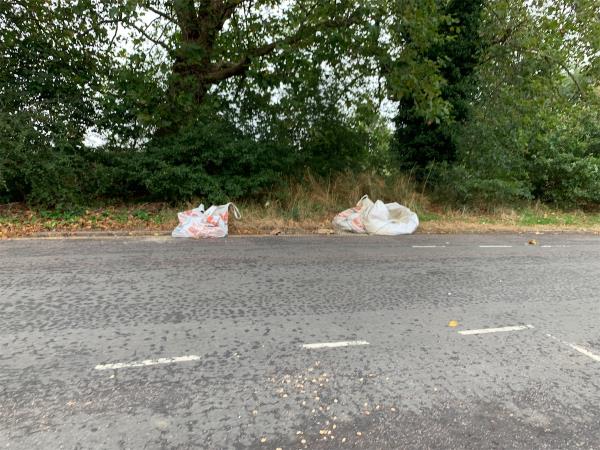 Building materials in tonne bags dumped opposite 61 Sidney Road. -61 Sidney Road, Forest Gate, London, E7 0ED