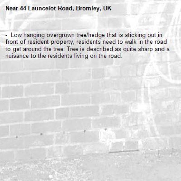 -  Low hanging overgrown tree/hedge that is sticking out in front of resident property, residents need to walk in the road to get around the tree. Tree is described as quite sharp and a nuisance to the residents living on the road.-44 Launcelot Road, Bromley, UK