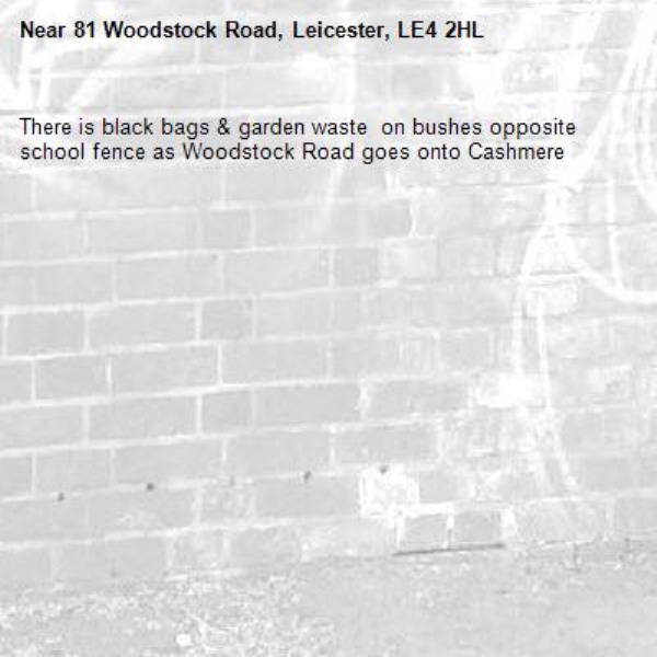 There is black bags &amp; garden waste  on bushes opposite school fence as Woodstock Road goes onto Cashmere  -81 Woodstock Road, Leicester, LE4 2HL