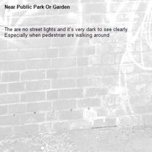 The are no street lights and it's very dark to see clearly. Especially when pedestrian are walking around-Public Park Or Garden