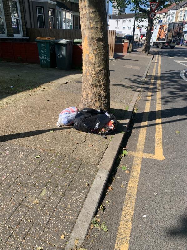 This is a second report on the app underneath the tree outside number 28 Terrace Road the foxes have gone to it and it’s all over the place this kitchen garbage -41A, Terrace Road, Plaistow, London, E13 0PP