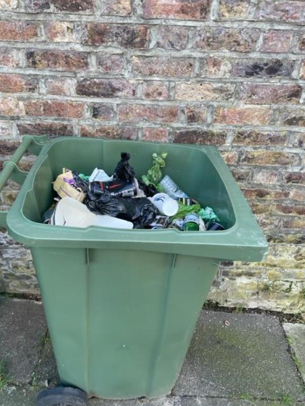 Two green bins appear to be abandoned and are being filled with litter including dog waste by passers by. They smell and are attracting vermin, I have seen rats. -6 Dunoon Road, London, SE23 3TF