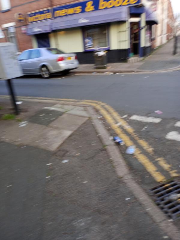 Litter on the street and council street litter bin overflowing -Howard Road, Leicester