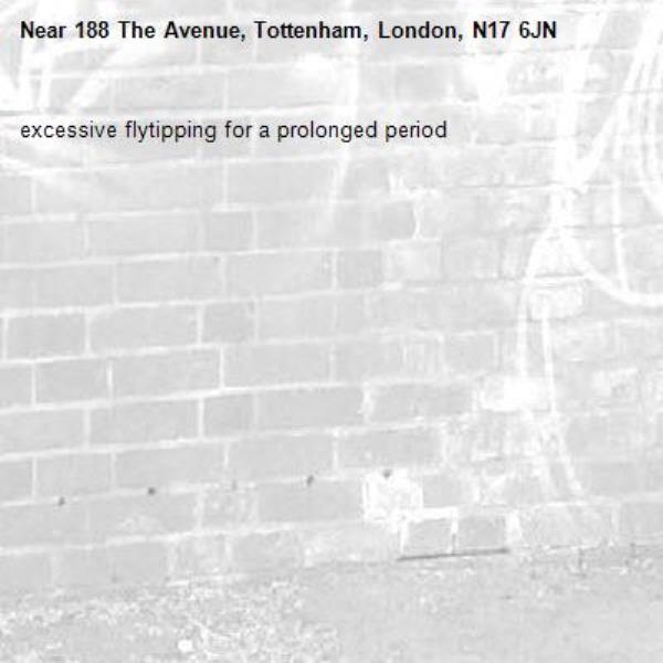 excessive flytipping for a prolonged period-188 The Avenue, Tottenham, London, N17 6JN