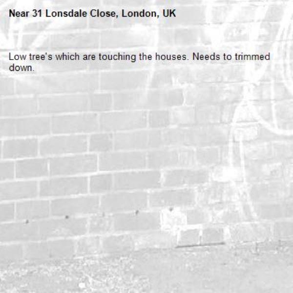 Low tree's which are touching the houses. Needs to trimmed down.-31 Lonsdale Close, London, UK