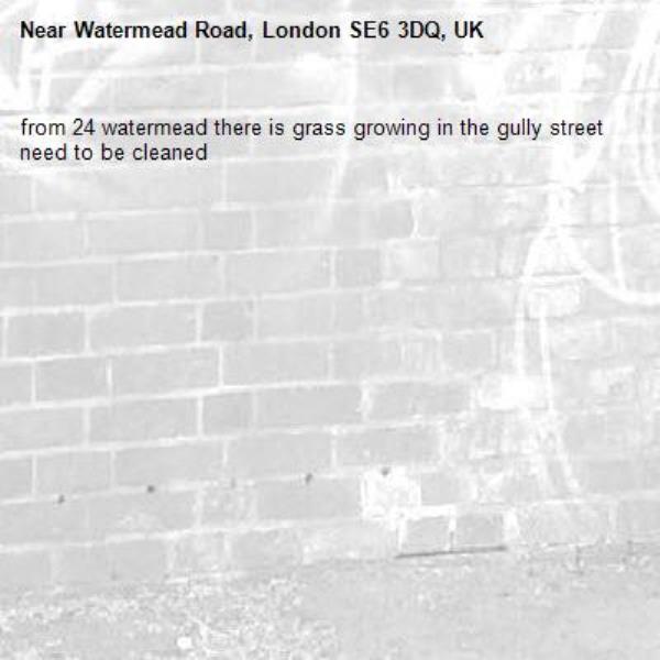 from 24 watermead there is grass growing in the gully street need to be cleaned-Watermead Road, London SE6 3DQ, UK