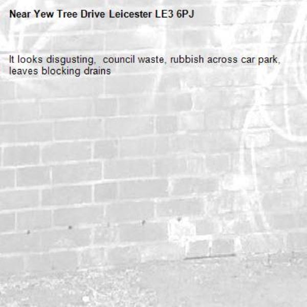 It looks disgusting,  council waste, rubbish across car park, leaves blocking drains-Yew Tree Drive Leicester LE3 6PJ 