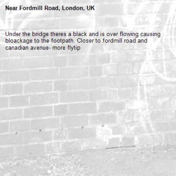 Under the bridge theres a black and is over flowing causing bloackage to the footpath. Closer to fordmill road and canadian avenue- more flytip -Fordmill Road, London, UK