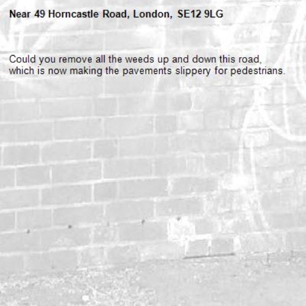 Could you remove all the weeds up and down this road, which is now making the pavements slippery for pedestrians.-49 Horncastle Road, London, SE12 9LG