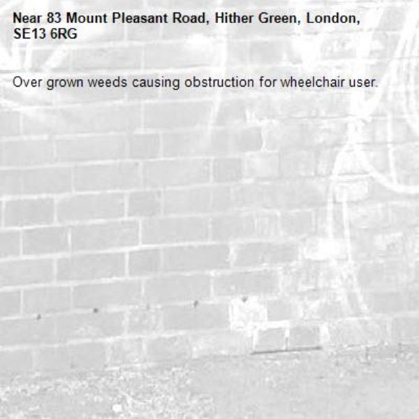 Over grown weeds causing obstruction for wheelchair user. -83 Mount Pleasant Road, Hither Green, London, SE13 6RG
