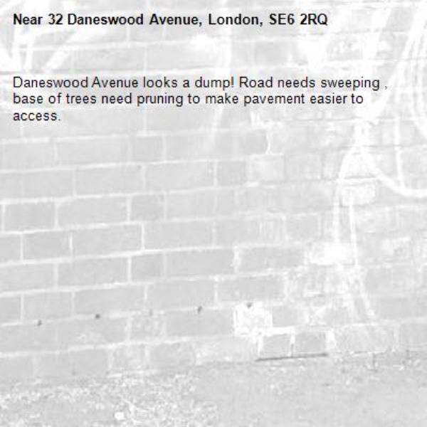 Daneswood Avenue looks a dump! Road needs sweeping , base of trees need pruning to make pavement easier to access.-32 Daneswood Avenue, London, SE6 2RQ
