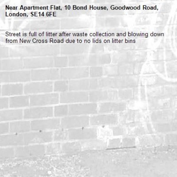 Street is full of litter after waste collection and blowing down from New Cross Road due to no lids on litter bins -Apartment Flat, 10 Bond House, Goodwood Road, London, SE14 6FE