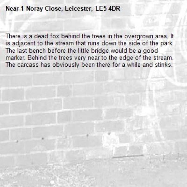 There is a dead fox behind the trees in the overgrown area. It is adjacent to the stream that runs down the side of the park . The last bench before the little bridge would be a good marker. Behind the trees very near to the edge of the stream. The carcass has obviously been there for a while and stinks.-1 Noray Close, Leicester, LE5 4DR