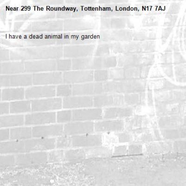 I have a dead animal in my garden -299 The Roundway, Tottenham, London, N17 7AJ
