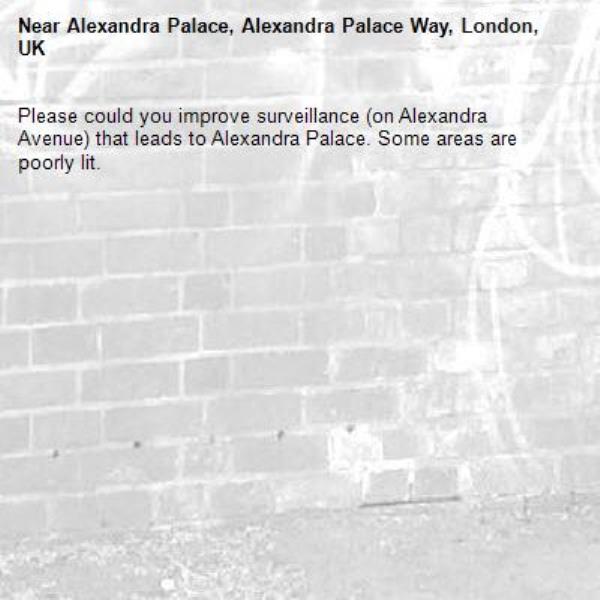 Please could you improve surveillance (on Alexandra Avenue) that leads to Alexandra Palace. Some areas are poorly lit. -Alexandra Palace, Alexandra Palace Way, London, UK