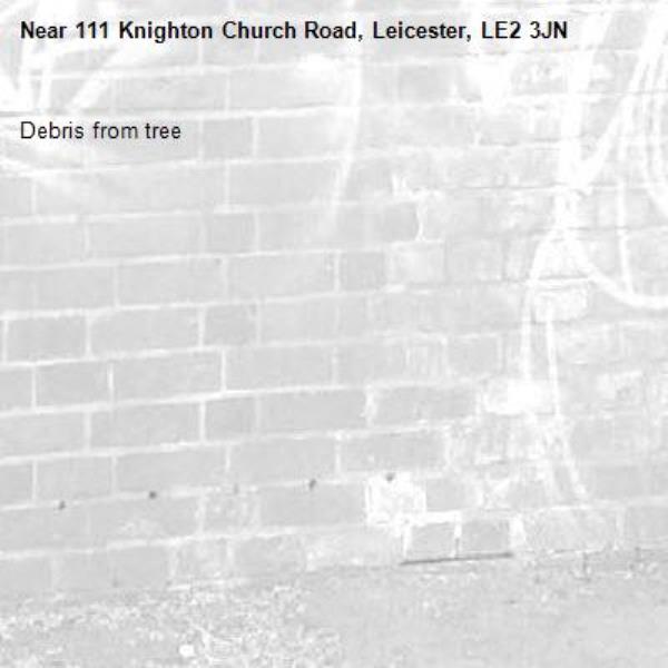 Debris from tree-111 Knighton Church Road, Leicester, LE2 3JN