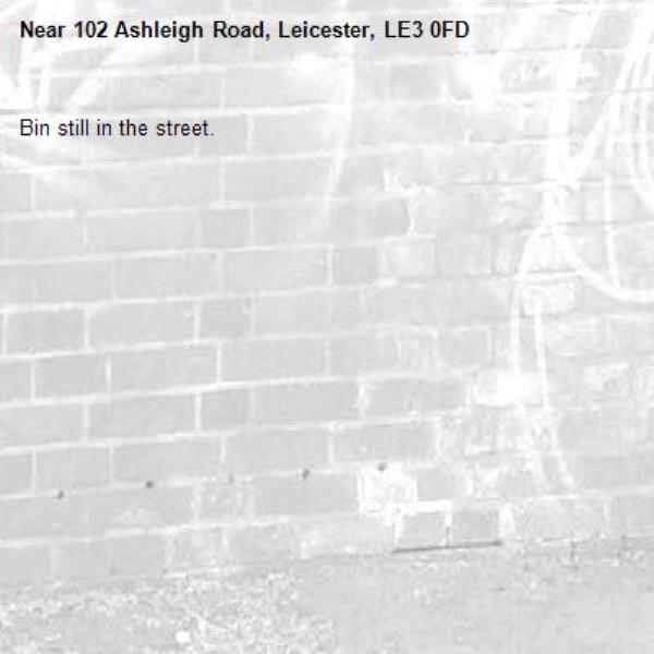 Bin still in the street.-102 Ashleigh Road, Leicester, LE3 0FD
