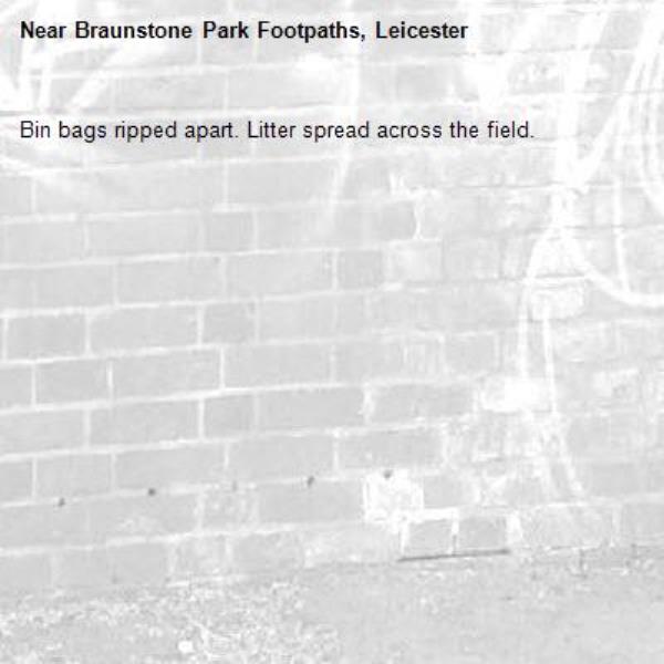 Bin bags ripped apart. Litter spread across the field.-Braunstone Park Footpaths, Leicester