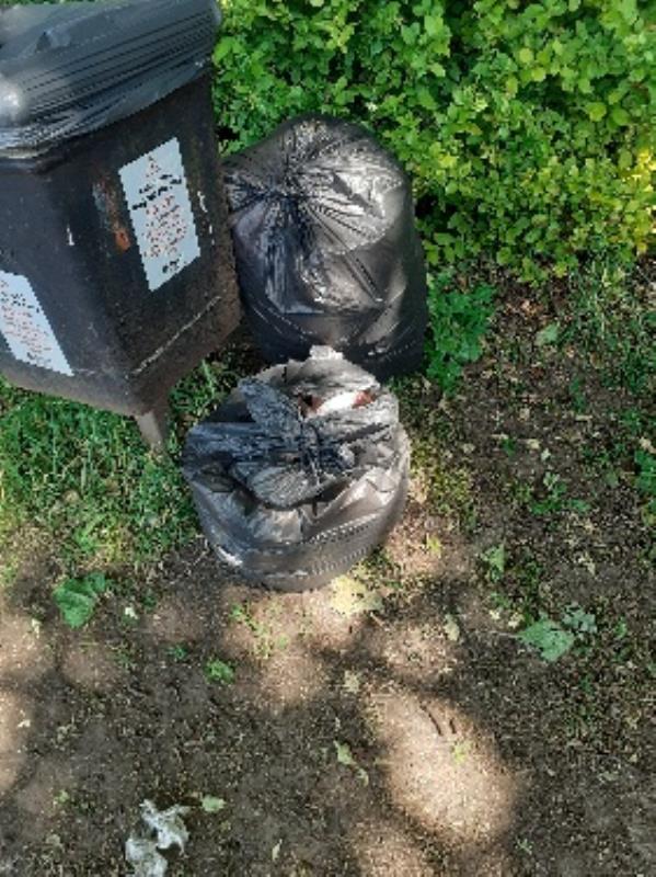 domestic waste flytipped in park  -97 Kensington Road, Reading, RG30 2SZ