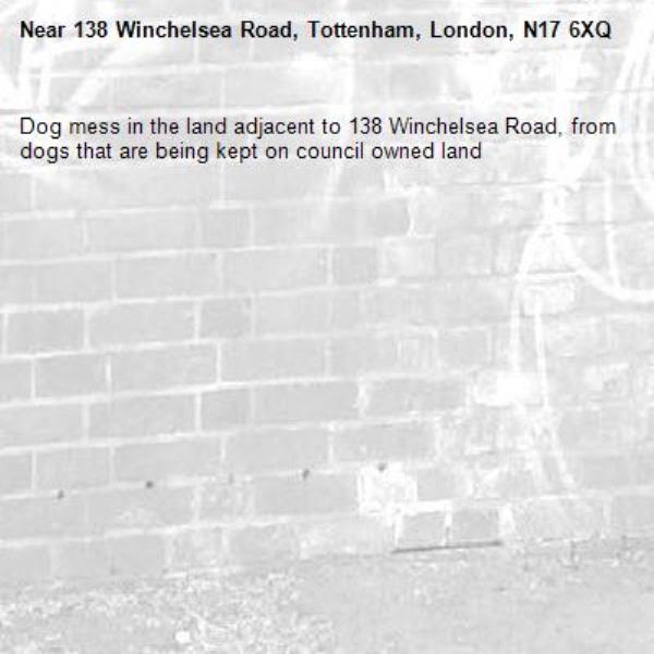 Dog mess in the land adjacent to 138 Winchelsea Road, from dogs that are being kept on council owned land -138 Winchelsea Road, Tottenham, London, N17 6XQ