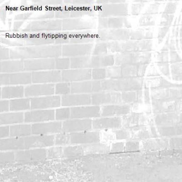Rubbish and flytipping everywhere. -Garfield Street, Leicester, UK