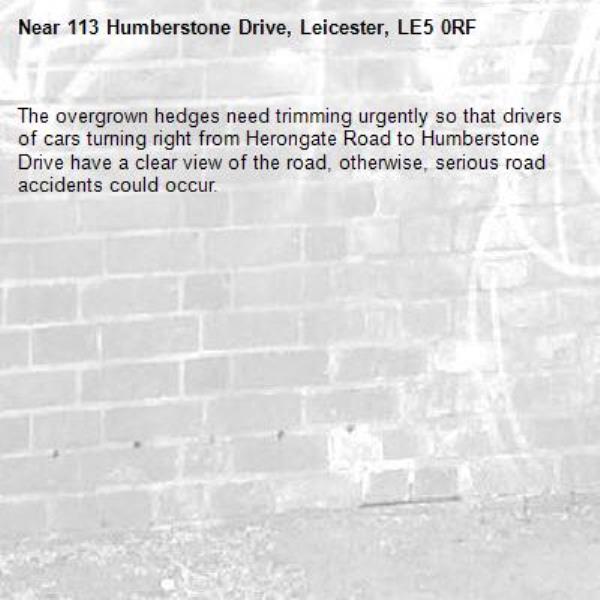The overgrown hedges need trimming urgently so that drivers of cars turning right from Herongate Road to Humberstone Drive have a clear view of the road, otherwise, serious road accidents could occur.-113 Humberstone Drive, Leicester, LE5 0RF
