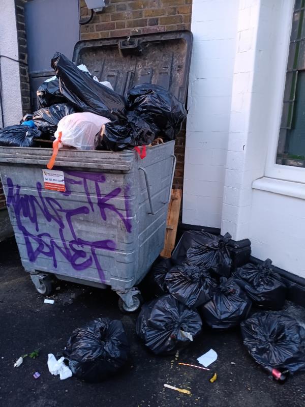 Large grey bin overflowing -4 Ham Park Road, Stratford, London, E15 4HE