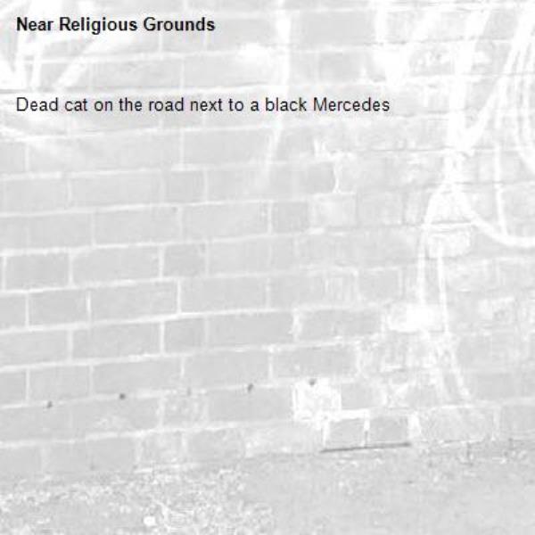 Dead cat on the road next to a black Mercedes-Religious Grounds