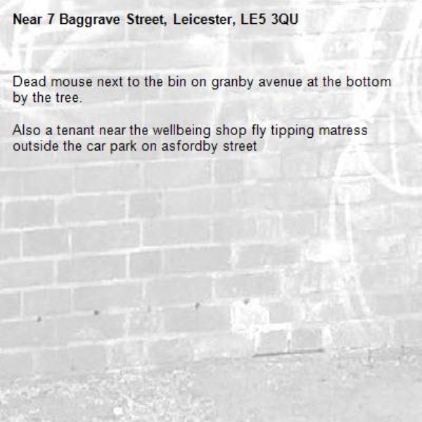 Dead mouse next to the bin on granby avenue at the bottom by the tree.

Also a tenant near the wellbeing shop fly tipping matress outside the car park on asfordby street-7 Baggrave Street, Leicester, LE5 3QU