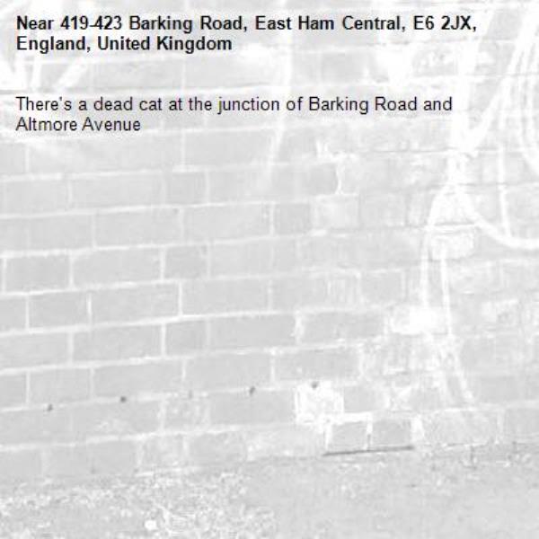 There's a dead cat at the junction of Barking Road and Altmore Avenue -419-423 Barking Road, East Ham Central, E6 2JX, England, United Kingdom
